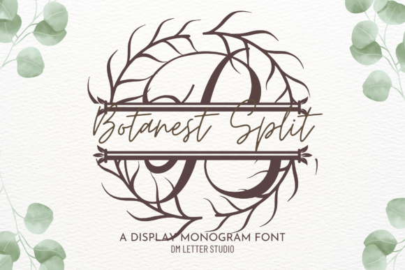 Botanest Split Monogram: A Strategic Typeface for Campaign Clarity