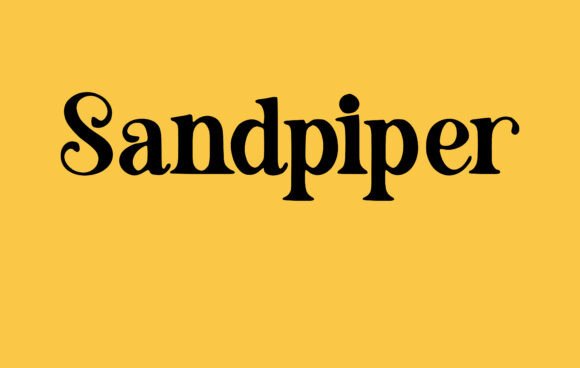 Sandpiper: The Serif Typeface That Softens Your Brand Identity